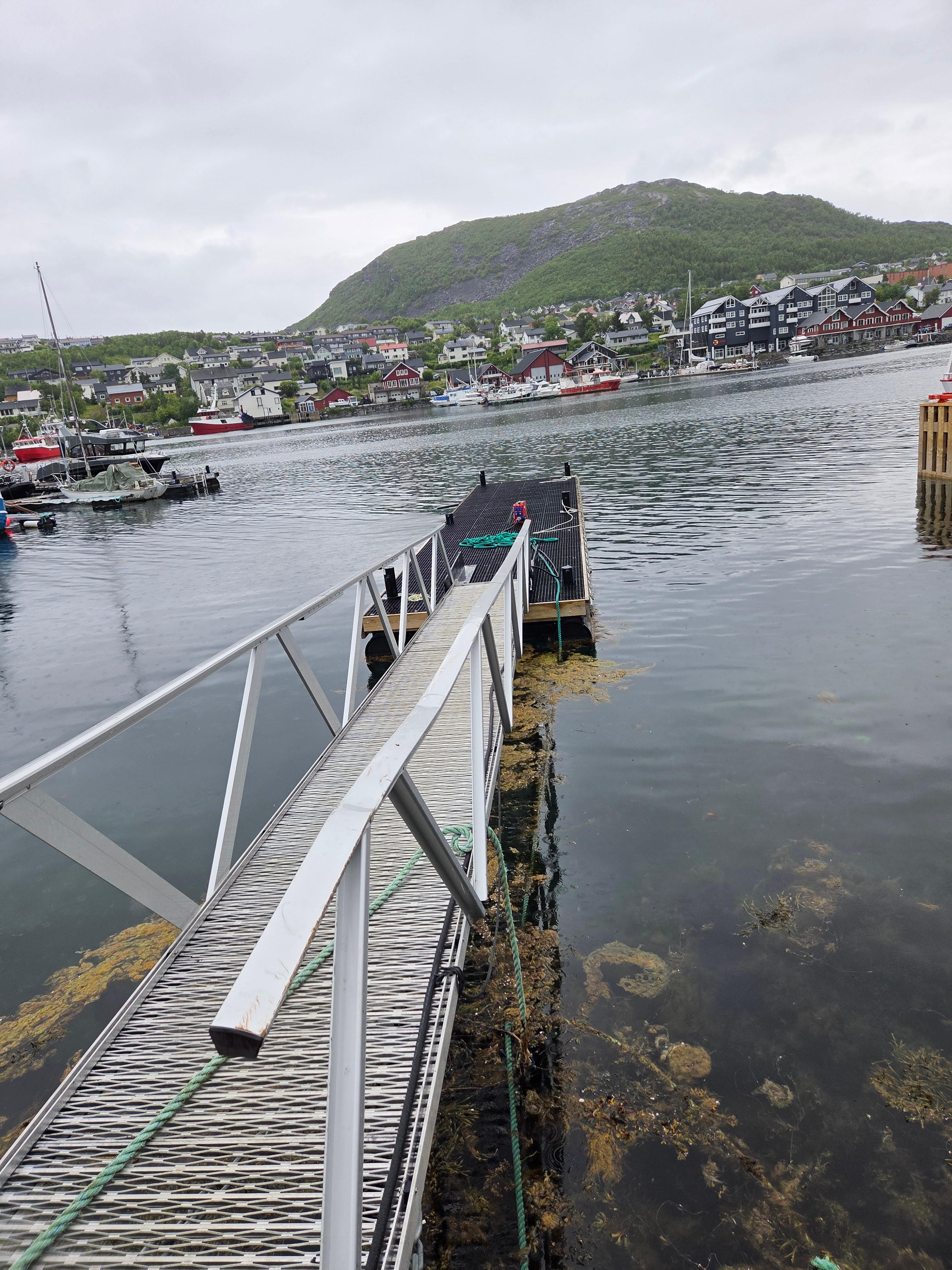Flytebrygge
